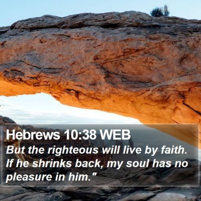 Hebrews 10:38 WEB Bible Verse Image