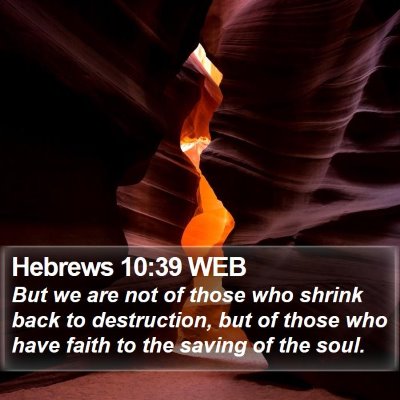 Hebrews 10:39 WEB Bible Verse Image