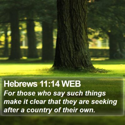 Hebrews 11:14 WEB Bible Verse Image
