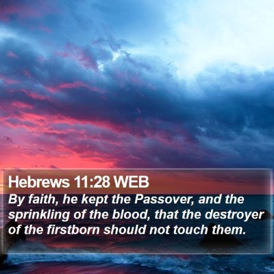 Hebrews 11:28 WEB Bible Verse Image