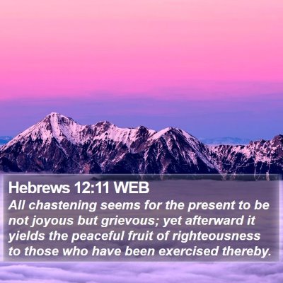 Hebrews 12:11 WEB Bible Verse Image