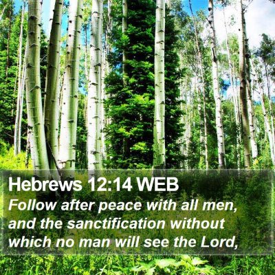 Hebrews 12:14 WEB Bible Verse Image