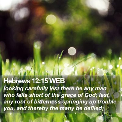 Hebrews 12:15 WEB Bible Verse Image
