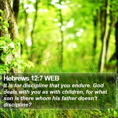 Hebrews 12:7 WEB Bible Verse Image