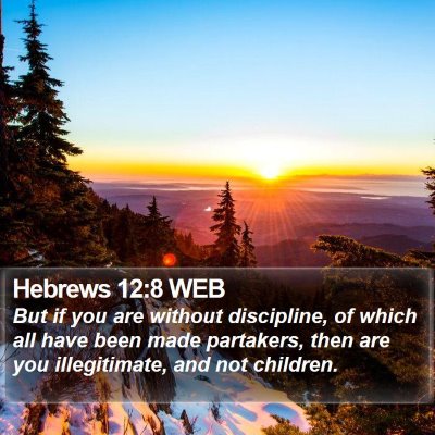 Hebrews 12:8 WEB Bible Verse Image