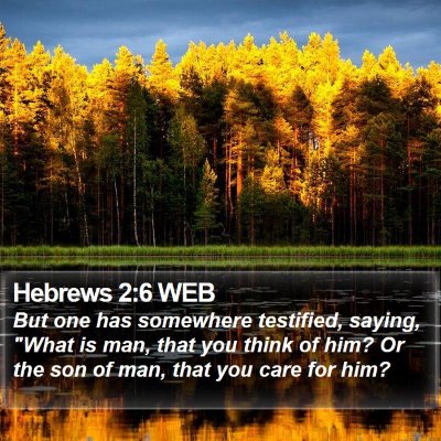 Hebrews 2:6 WEB Bible Verse Image