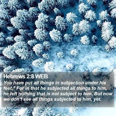 Hebrews 2:8 WEB Bible Verse Image