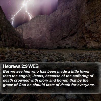 Hebrews 2:9 WEB Bible Verse Image