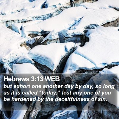 Hebrews 3:13 WEB Bible Verse Image