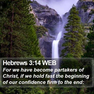 Hebrews 3:14 WEB Bible Verse Image