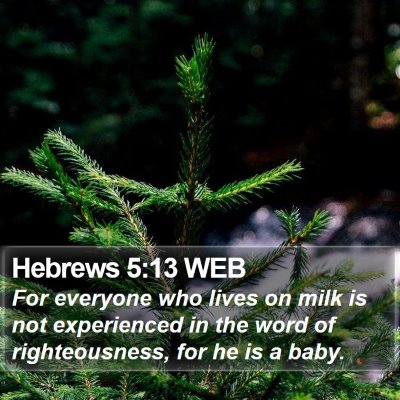 Hebrews 5:13 WEB Bible Verse Image