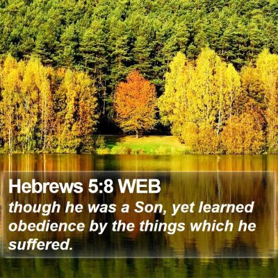 Hebrews 5:8 WEB Bible Verse Image