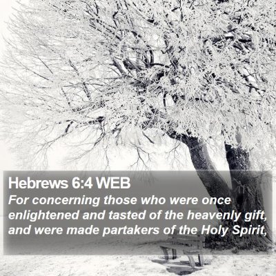 Hebrews 6:4 WEB Bible Verse Image