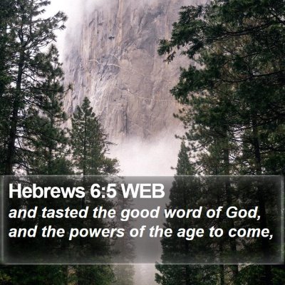 Hebrews 6:5 WEB Bible Verse Image