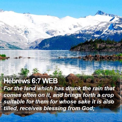 Hebrews 6:7 WEB Bible Verse Image