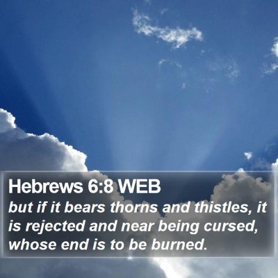 Hebrews 6:8 WEB Bible Verse Image