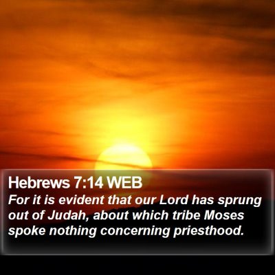 Hebrews 7:14 WEB Bible Verse Image