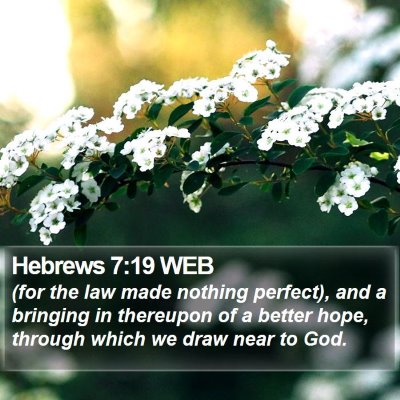 Hebrews 7:19 WEB Bible Verse Image