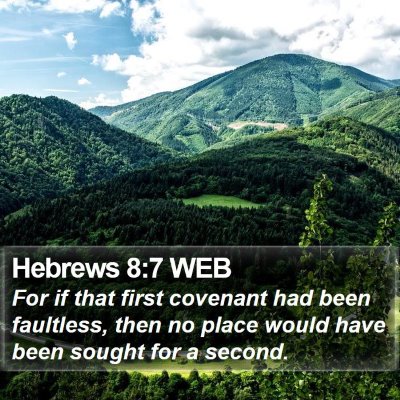 Hebrews 8:7 WEB Bible Verse Image