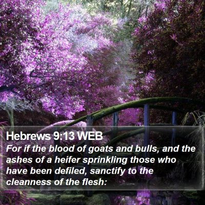 Hebrews 9:13 WEB Bible Verse Image