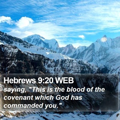 Hebrews 9:20 WEB Bible Verse Image