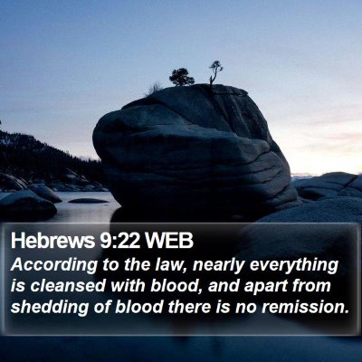 Hebrews 9:22 WEB Bible Verse Image