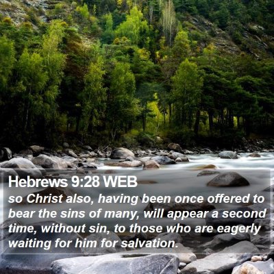 Hebrews 9:28 WEB Bible Verse Image