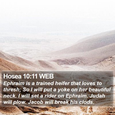 Hosea 10:11 WEB Bible Verse Image