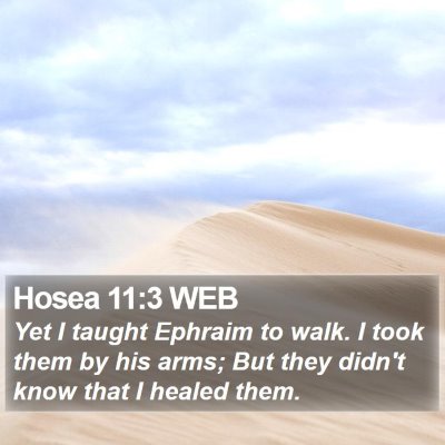 Hosea 11:3 WEB Bible Verse Image