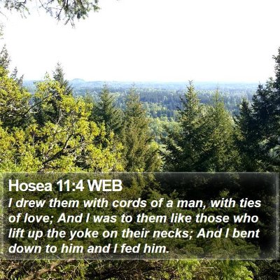 Hosea 11:4 WEB Bible Verse Image