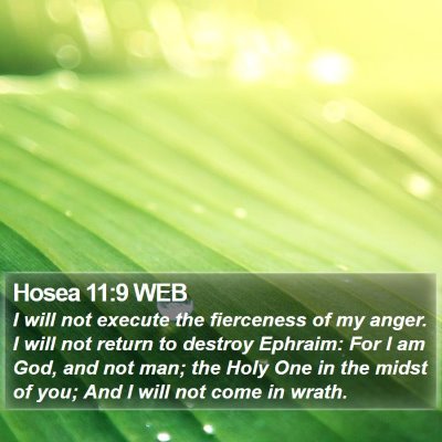 Hosea 11:9 WEB Bible Verse Image