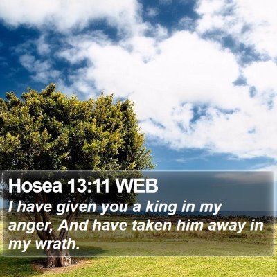 Hosea 13:11 WEB Bible Verse Image