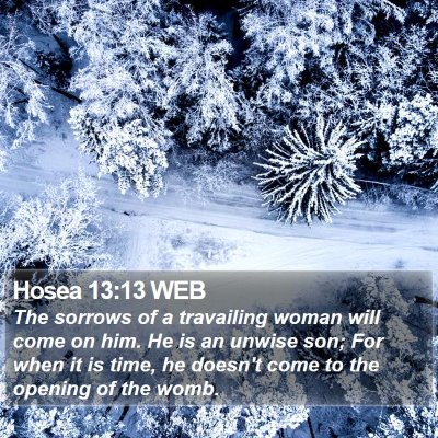Hosea 13:13 WEB Bible Verse Image