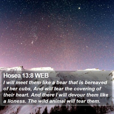 Hosea 13:8 WEB Bible Verse Image