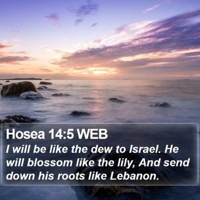 Hosea 14:5 WEB Bible Verse Image