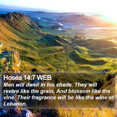 Hosea 14:7 WEB Bible Verse Image