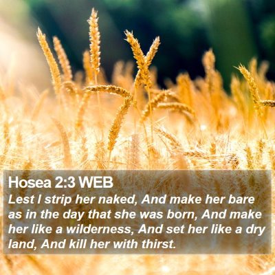 Hosea 2:3 WEB Bible Verse Image
