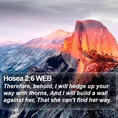 Hosea 2:6 WEB Bible Verse Image