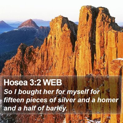 Hosea 3:2 WEB Bible Verse Image
