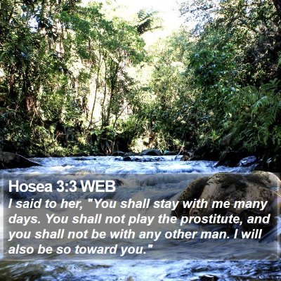 Hosea 3:3 WEB Bible Verse Image