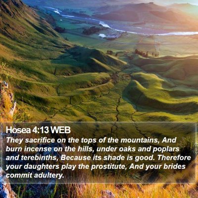Hosea 4:13 WEB Bible Verse Image