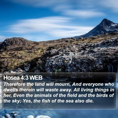 Hosea 4:3 WEB Bible Verse Image