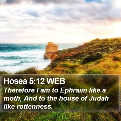 Hosea 5:12 WEB Bible Verse Image