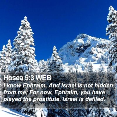Hosea 5:3 WEB Bible Verse Image