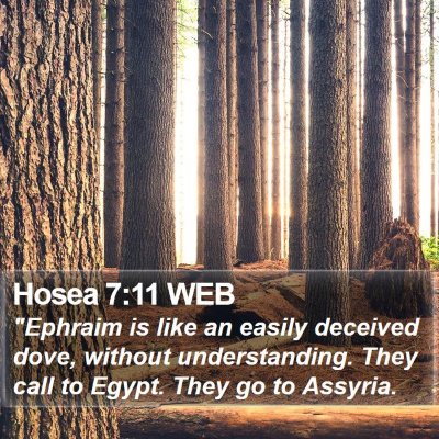 Hosea 7:11 WEB Bible Verse Image