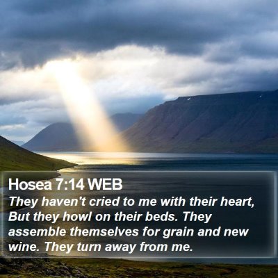 Hosea 7:14 WEB Bible Verse Image