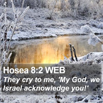 Hosea 8:2 WEB Bible Verse Image