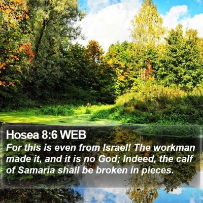 Hosea 8:6 WEB Bible Verse Image