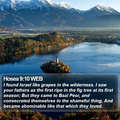 Hosea 9:10 WEB Bible Verse Image