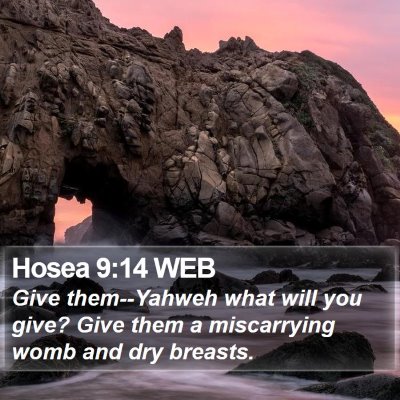 Hosea 9:14 WEB Bible Verse Image